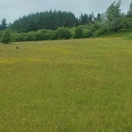 Bilberry Boreen Κάμπινγκ Macroom